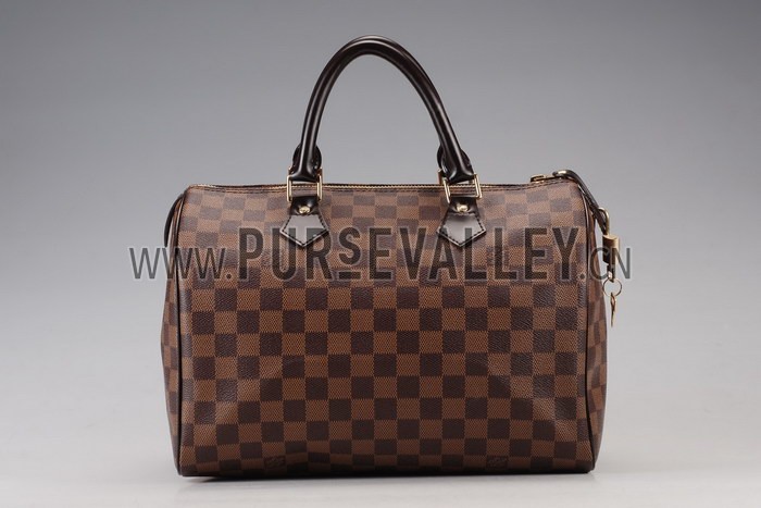 Louis Vuitton Damier Speedy 30