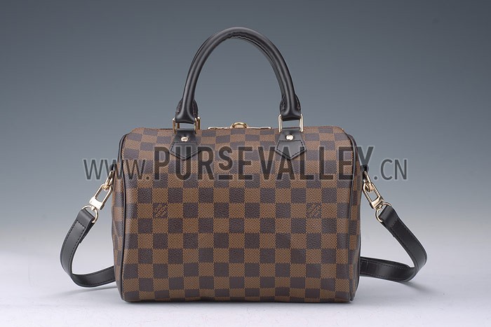 Louis Vuitton Damier Speedy 25 with Shoulder Strap