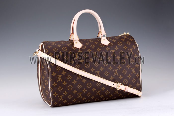 Louis Vuitton Monogram Speedy