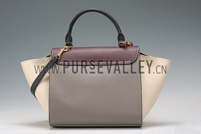Celine Trapeze Beige Bag 607302