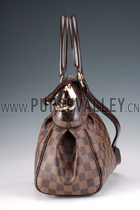 Louis Vuitton Damier Canvas Trevi PM