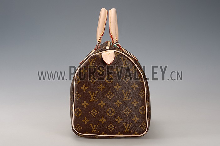 Louis Vuitton Speedy 30 Monogram V Turquise