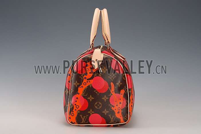 Louis Vuitton Speedy 30 Ramages
