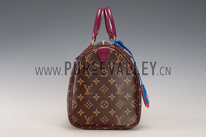Louis Vuitton Monogram Totem Speedy Plum