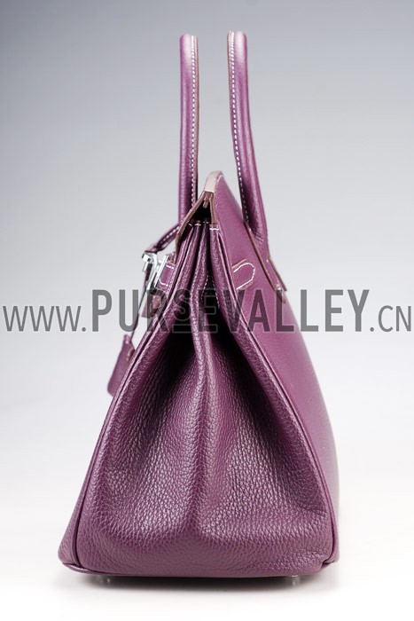 Hermes Birkin Plum