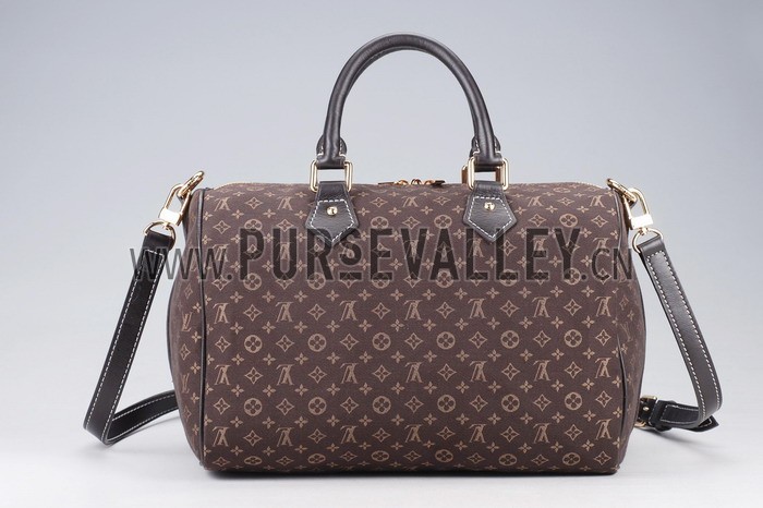 Louis Vuitton Speedy 30 Fusain
