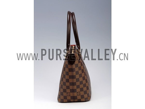 Louis Vuitton Damier Canvas Saleya PM