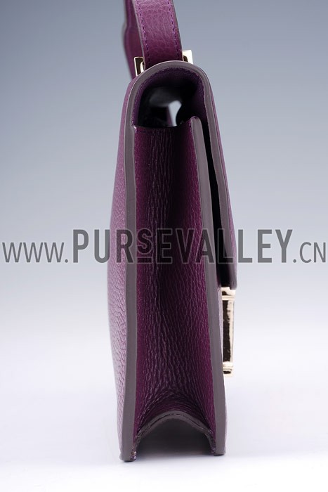Hermes Constance Plum with Golden Buckle