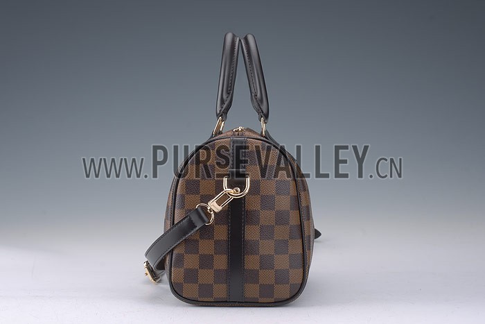 Louis Vuitton Damier Speedy 25 with Shoulder Strap