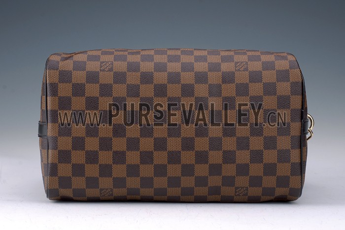 Louis Vuitton Damier Speedy 30 with Shoulder Strap