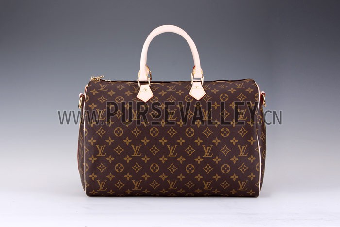 Louis Vuitton Monogram Speedy