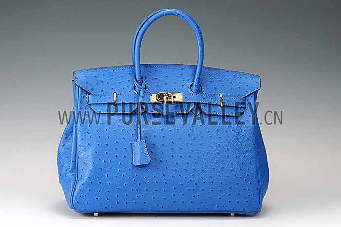Hermes Birkin 35 Blue Ostrich Leather 607483