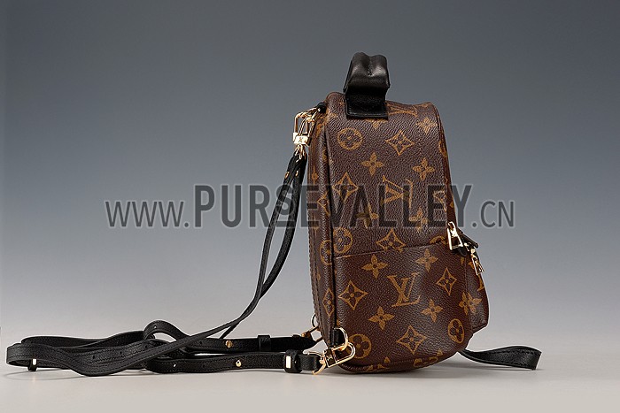 Louis Vuitton Monogram Palm Springs Backpack PM