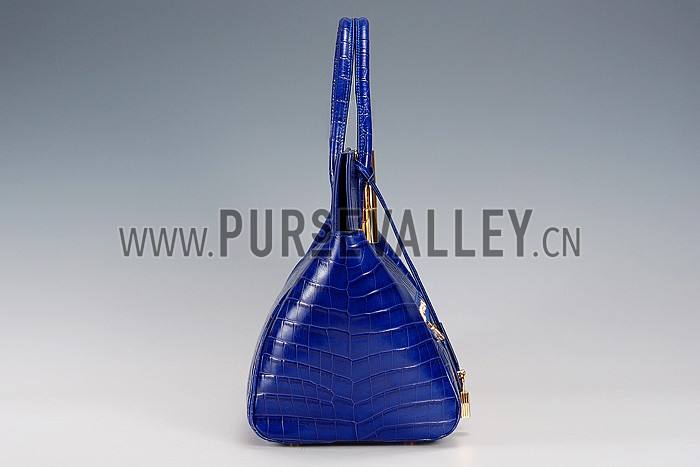 Tom Ford Natalia Alligator Doctor Blue Bag