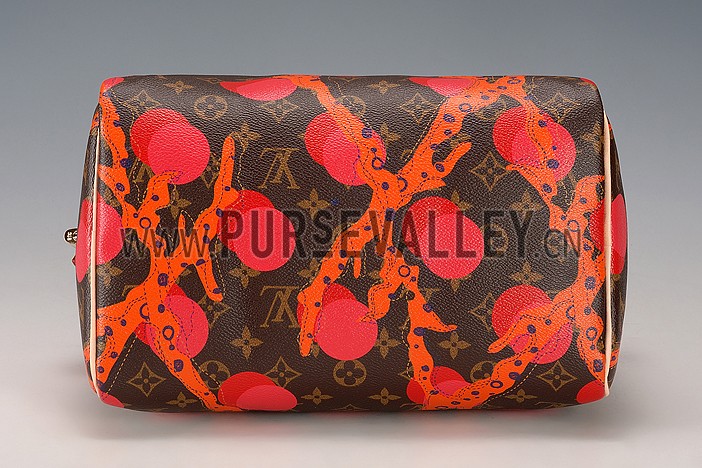 Louis Vuitton Speedy 30 Ramages