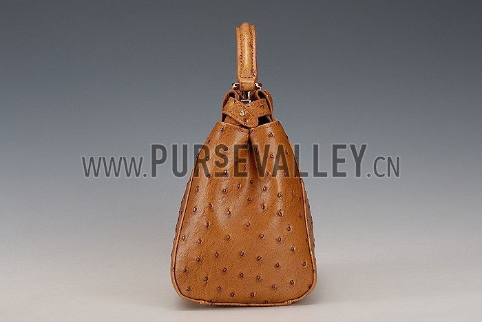 Fendi Peekaboo Mini Ostrich Leather Brown Bag