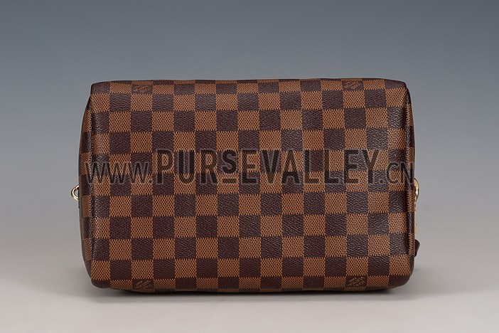Louis Vuitton Damier Ebene Speedy 25 Bag With Chain Shoulder Strap