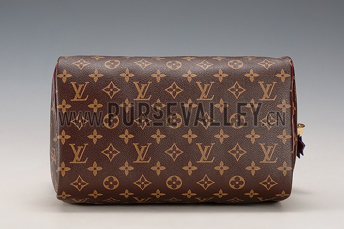 Louis Vuitton Monogram Totem Speedy Plum