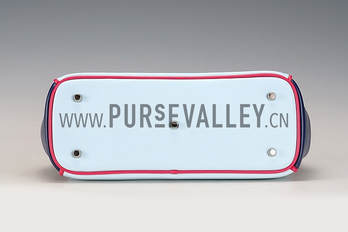 Diorissimo Medium Light Blue, Dark Blue and Rose Pink City Bag