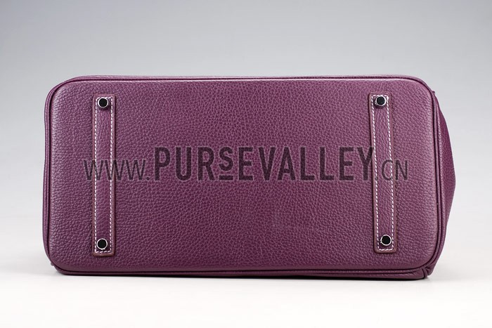 Hermes Birkin Plum