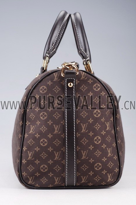 Louis Vuitton Speedy 30 Fusain