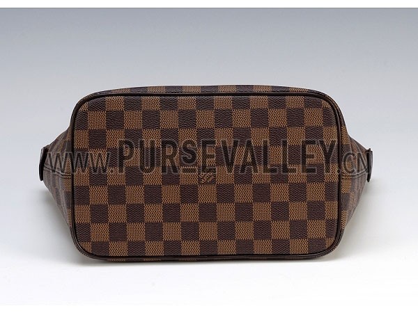 Louis Vuitton Damier Canvas Saleya PM