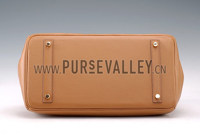 Hermes Birkin Horse Embossed Gold Hardware Tote Tan