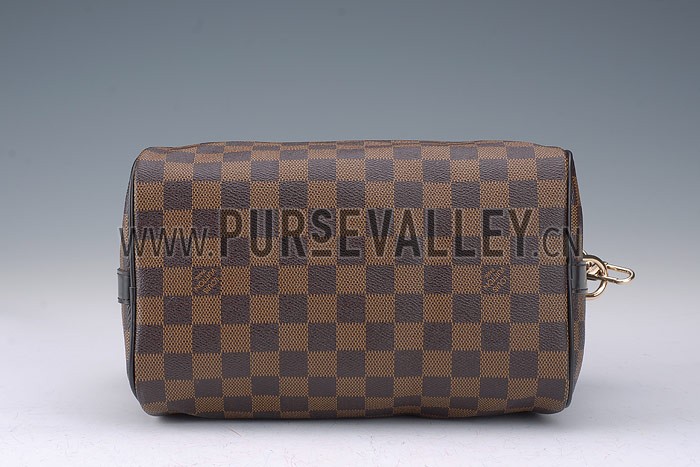 Louis Vuitton Damier Speedy 25 with Shoulder Strap