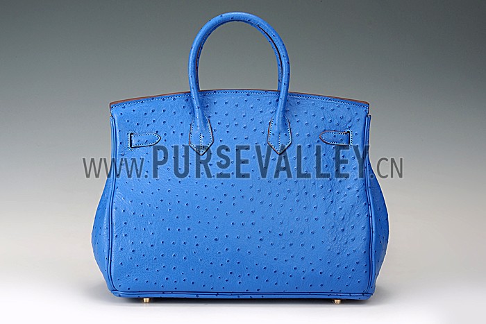 Hermes Birkin 35 Blue Ostrich Leather 607483