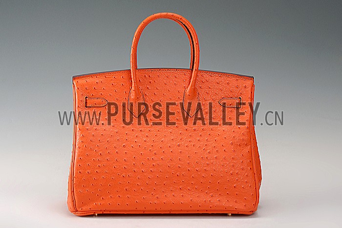 Hermes Birkin 35 Orange Ostrich Leather 607485