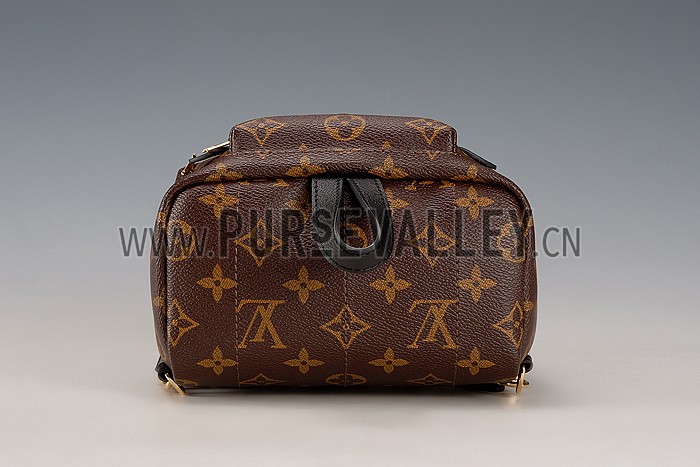 Louis Vuitton Monogram Palm Springs Backpack PM