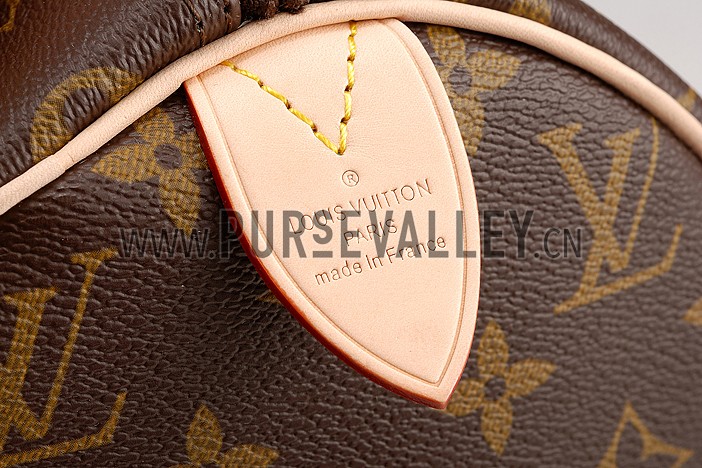 Louis Vuitton Speedy 30 Monogram V Turquise