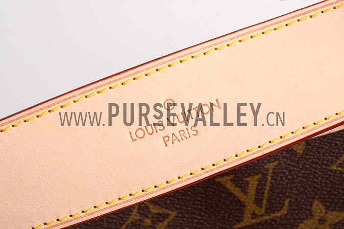 Louis Vuitton Monogram Delightful MM