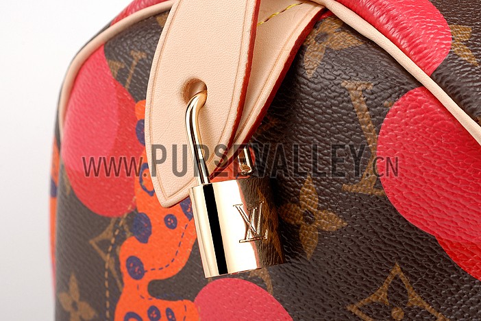 Louis Vuitton Speedy 30 Ramages