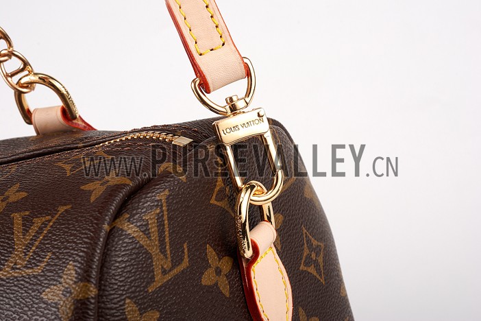 Louis Vuitton Monogram Speedy 25 Bag With Chain Shoulder Strap