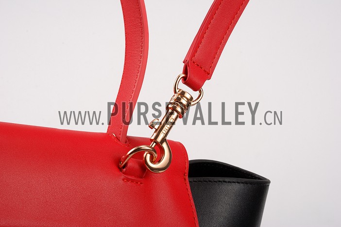 Celine Belt Bag Brown Black And Red