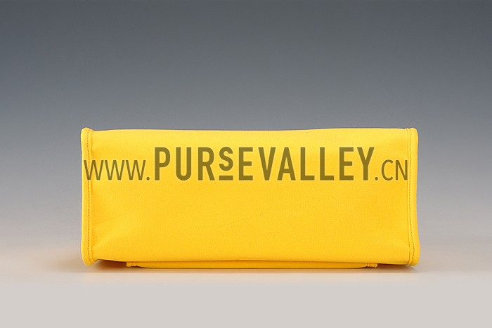 Hermes Herbag Yellow