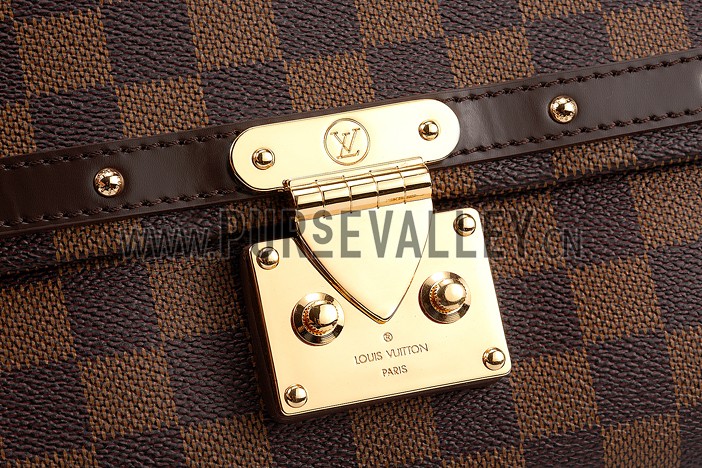 Louis Vuitton Damier Ebene Venice Bag