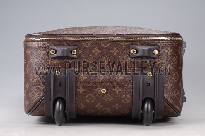 Louis Vuitton Pegase 55