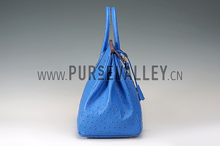 Hermes Birkin 35 Blue Ostrich Leather 607483