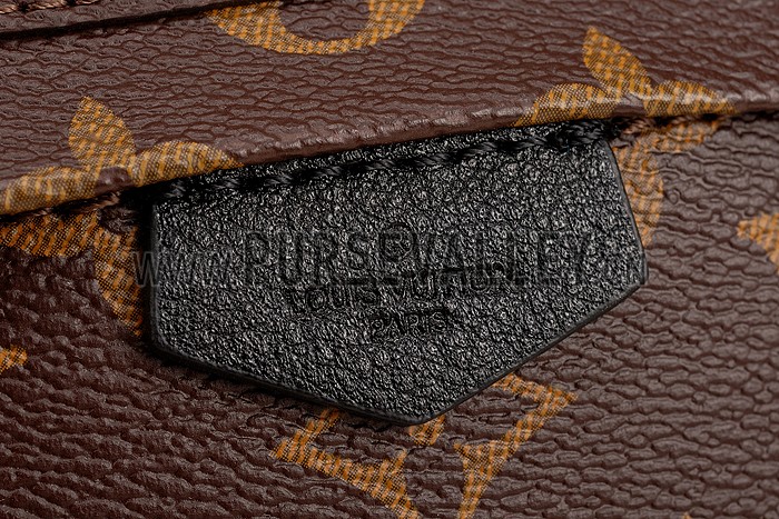 Louis Vuitton Monogram Palm Springs Backpack PM