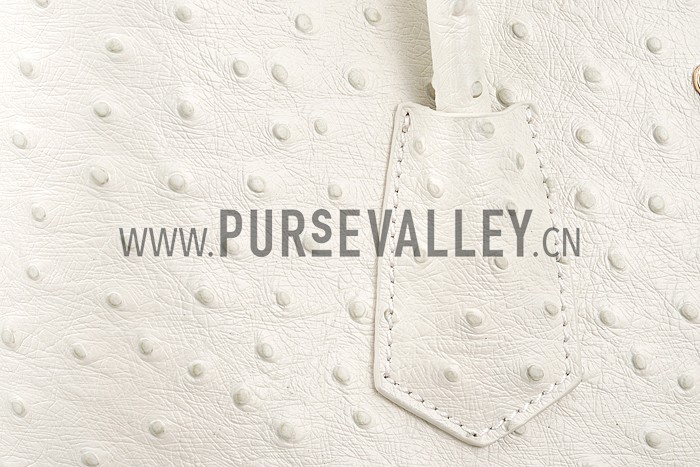 Prada Double Tote Ostrich Leather Bag White