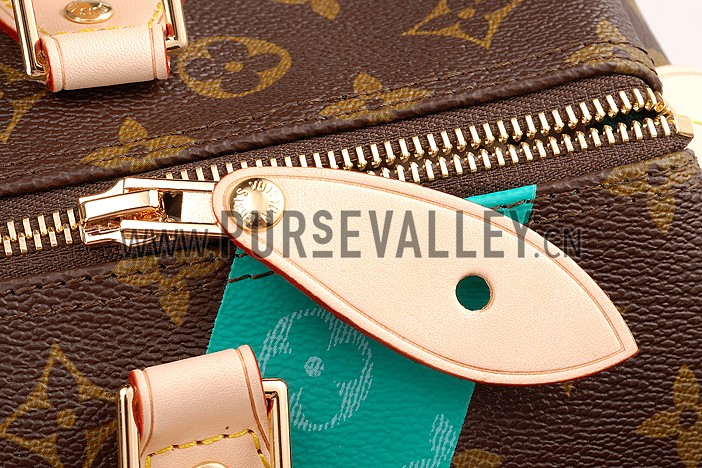 Louis Vuitton Speedy 30 Monogram V Turquise