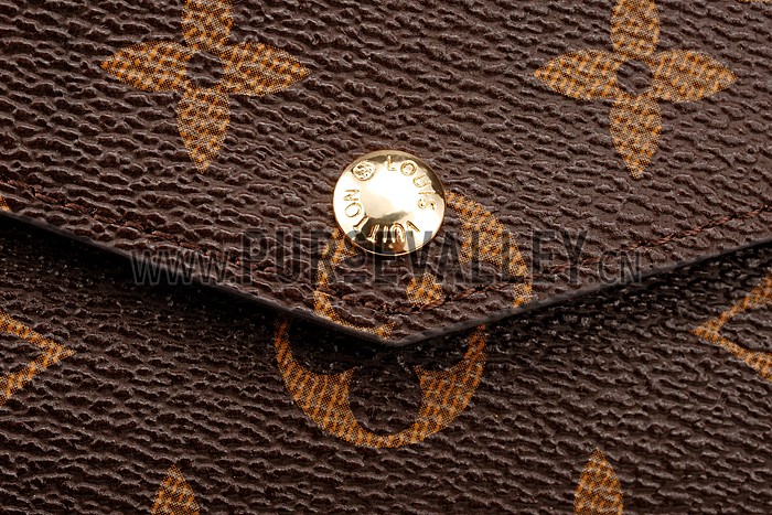 Louis Vuitton Monogram Felicie Chain Wallet Black 18926649
