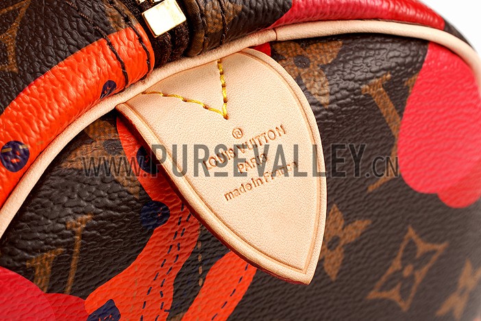 Louis Vuitton Speedy 30 Ramages