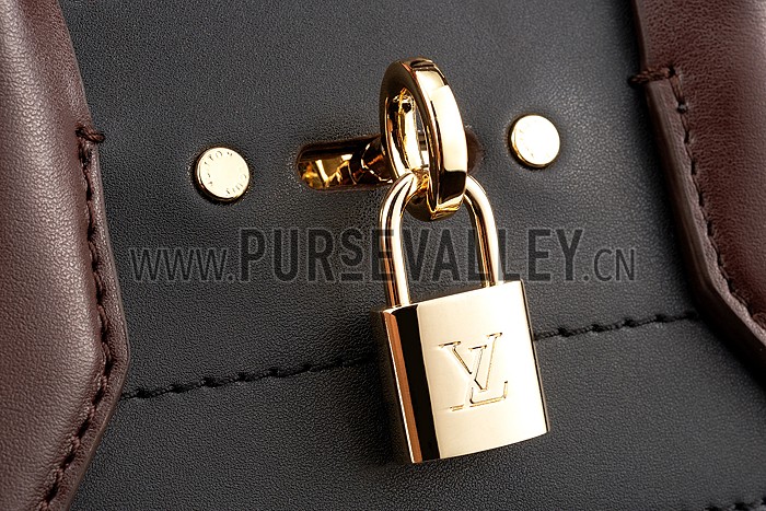 Louis Vuitton City Steamer Bag Bicolor Green