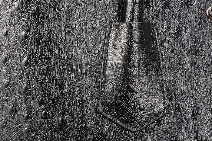 Prada Double Tote Ostrich Leather Bag Black