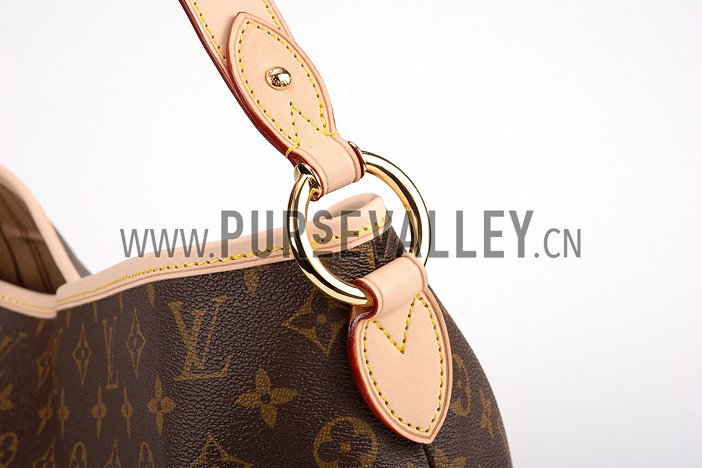 Louis Vuitton Monogram Delightful PM