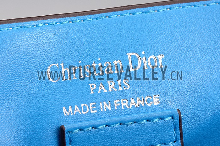 Diorissimo Medium Beige, Blue and Purple City Bag