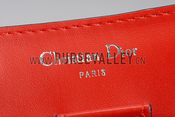 Diorissimo Medium Light Blue, Light Pink and Red City Bag